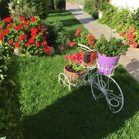 公寓式酒店 Chaliotis