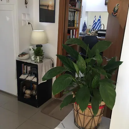 Chaliotis 3* 哈尔基斯