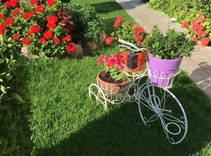 Aparthotel Chaliotis