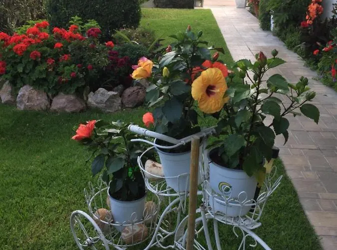 Aparthotel Chaliotis Lefkandi Chalkidas